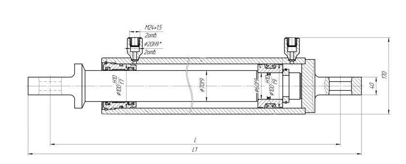 Piston cylinder. Scheme